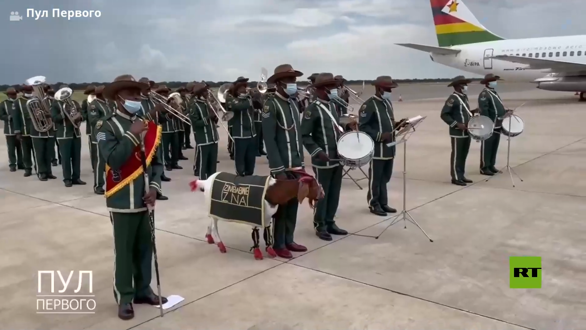 شاهد.. ماعز يلفت انتباه خلال مراسم توديع لوكاشينكو في زيمبابوي