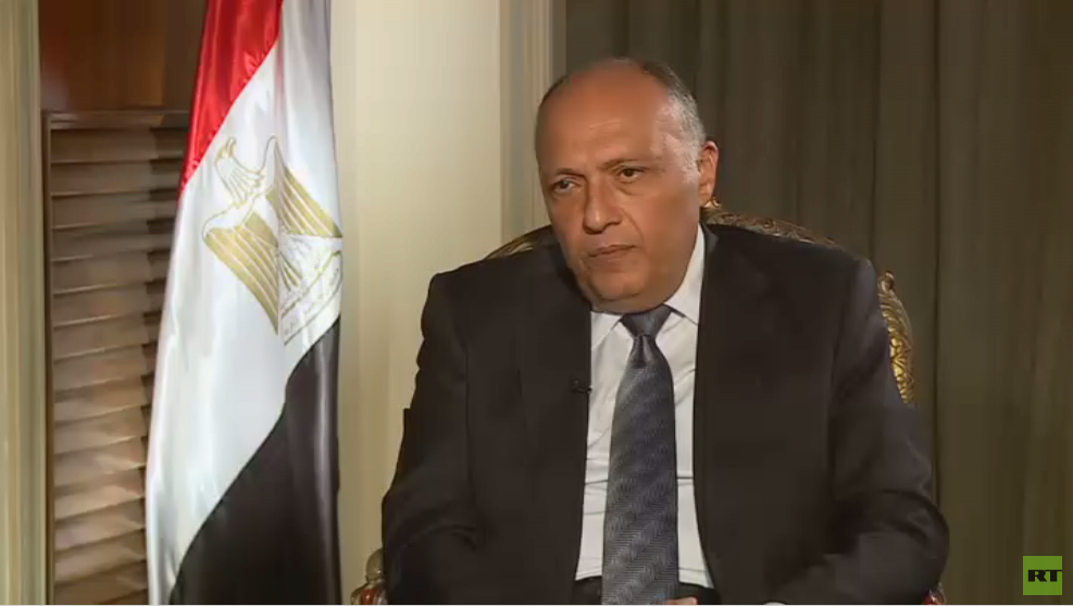 وصول وزير الخارجية المصري إلى دمشق ( فيديو)