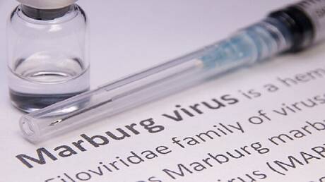 وفاة تسعة أشخاص في غينيا الاستوائية بفيروس ماربورغ