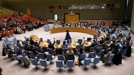 مسؤول إفريقي يدعو مجلس الأمن لتصحيح الظلم التاريخي الواقع على القارة السمراء