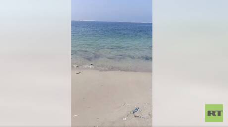 مصر.. انحسار مياه البحر في شواطئ الإسكندرية يثير التساؤل والبحوث الفلكية تعلق على الظاهرة (فيديو)