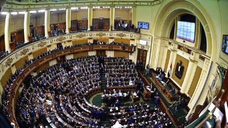 رئيس البرلمان المصري يطالب بحذف 
