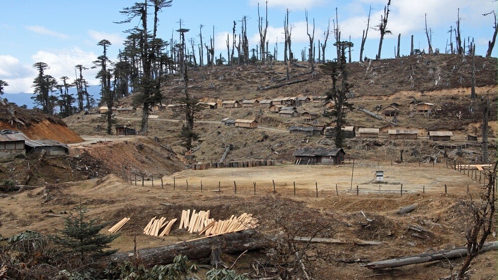 كشف عواقب تقلص مساحة الغابات الاستوائية