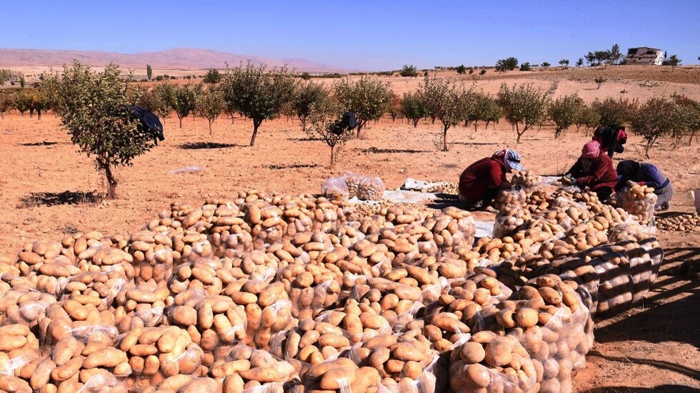 استجابة لعواقب الزلزال.. سويسرا تخفف العقوبات المفروضة على سوريا