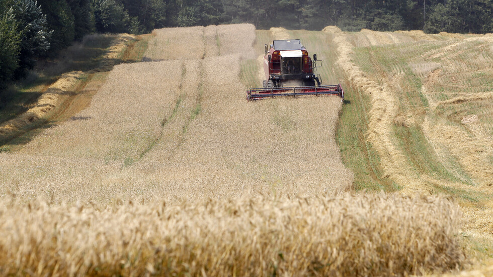 ميشوستين: موسم الحبوب الوفير في روسيا سيساعد البلدان المحتاجة