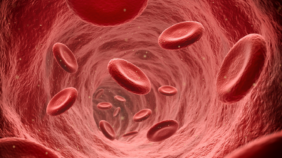 اختصاصية تغذية تسمي أنواع زيوت "يجب تجنبها" للوقاية من جلطات الدم!