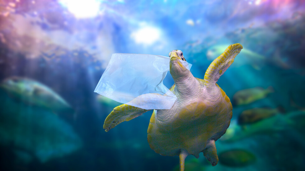 المدى المروع لأزمة البلاستيك: 4.9 مليون طن من النفايات تطفو في محيطاتنا