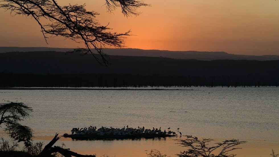 خبير كيني يوضح حقيقة ما يشاع عن تشكل محيط جديد يقسم إفريقيا لجزأين