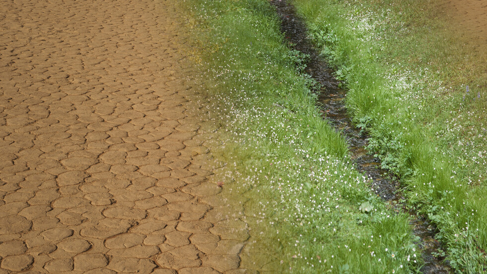 كيف ترتبط بالبصمة البشرية التغيرات في الأمراض المنقولة بواسطة الحيوانات؟