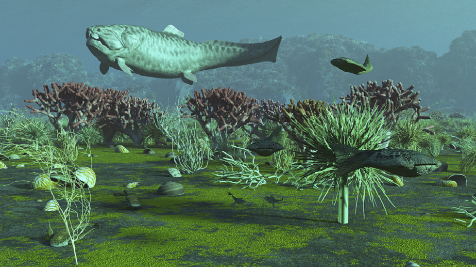 أحد أكبر الانقراضات الجماعية على الأرض بسبب ارتفاع مستويات سطح البحر في صدى مخيف اليوم!