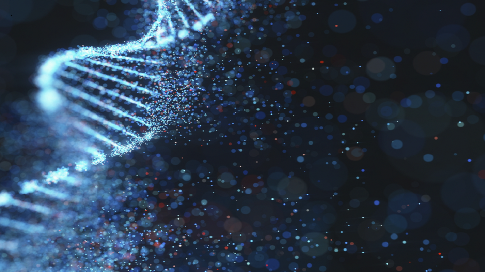 جين إضافي مرتبط بالكروموسوم X  قد يفسرانخفاض شدة العدوى الفيروسية عند الإناث