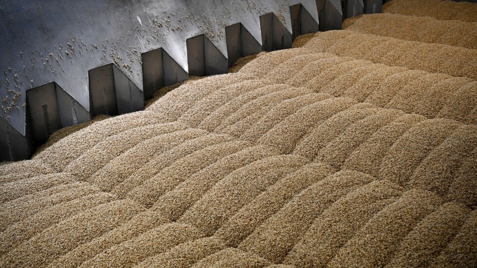 إنفوغرافيك جديد لتصدير الحبوب الأوكرانية منذ بداية سريان مفعول صفقة الحبوب