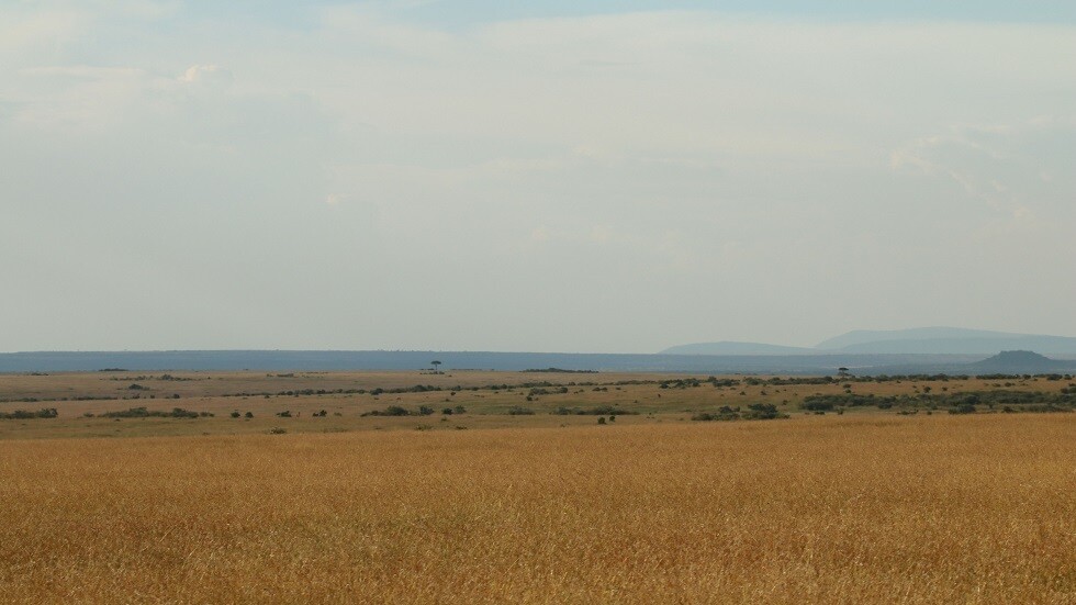 روسيا تساعد الدول الإفريقية في تعزيز القطاع الزراعي