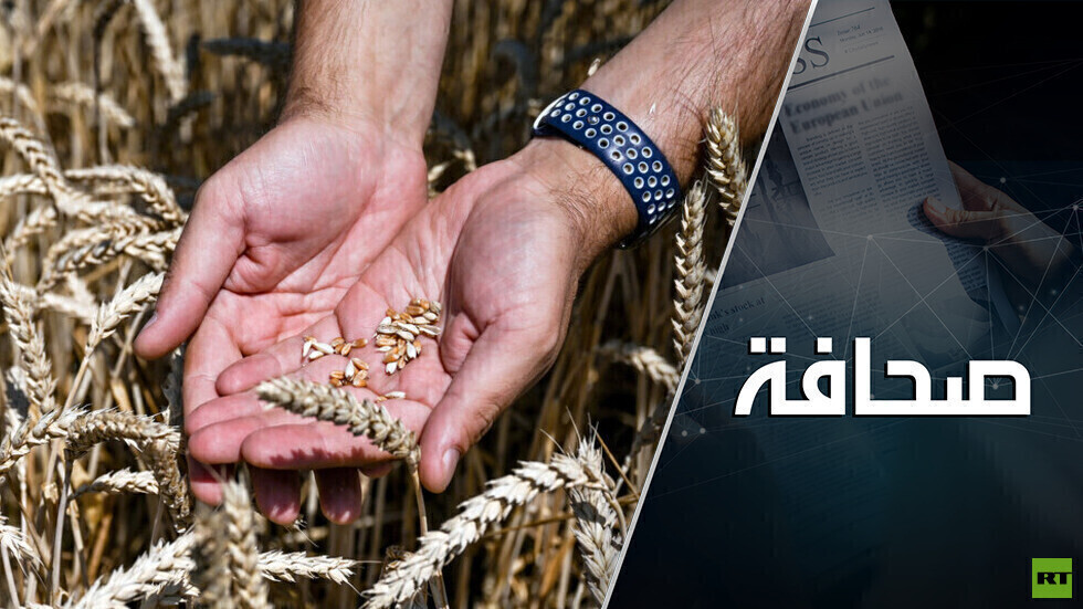 صفقة الحبوب: لعبة طويلة الأجل