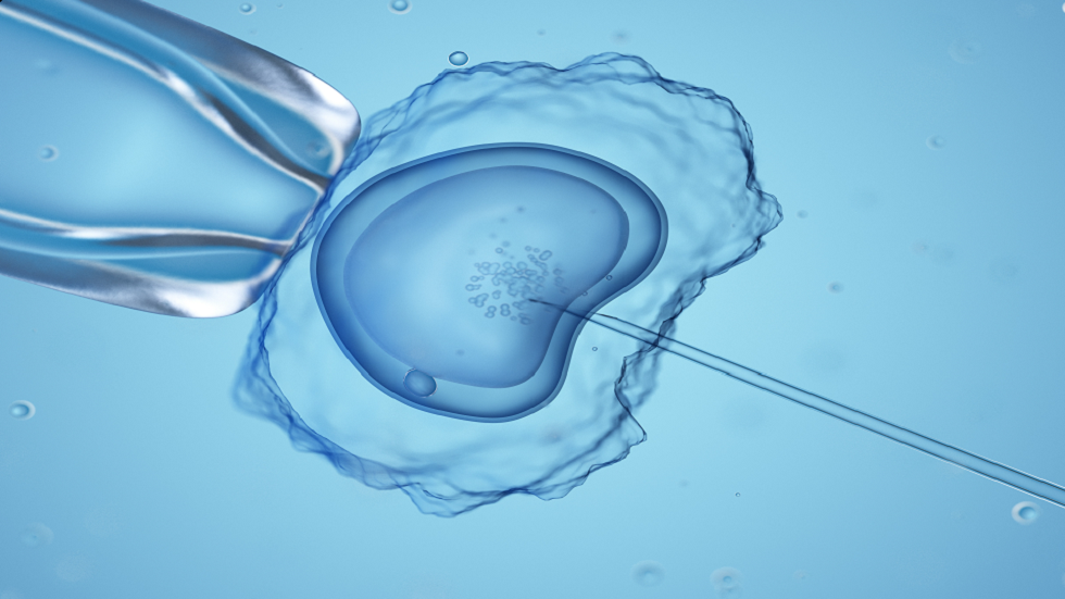 لمن يفضلون الذكور على الإناث أو العكس..علماء يطورون تقنية تلقيح صناعي تسمح للآباء باختيار جنس الطفل