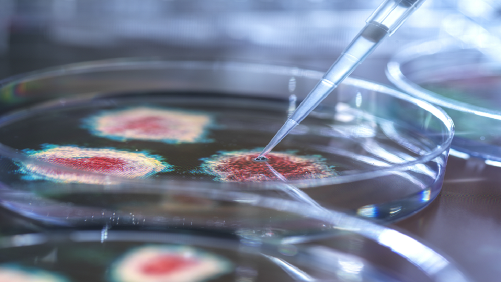 هل يمكن أن يظهر الوباء القادم في بريطانيا؟.. خبراء يحذرون من فيروس جديد!