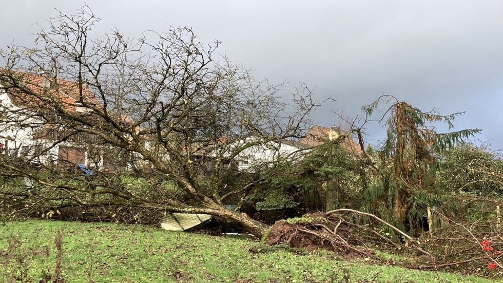 مقتل 14 شخصا على الأقل جراء إعصار ضرب الولايات المتحدة