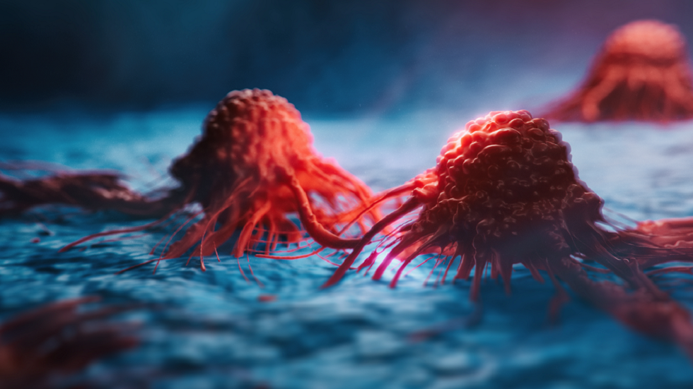 خبراء يكشفون: "حساء صيني" يمكن أن يزيد من فرصك في التغلب على السرطان!