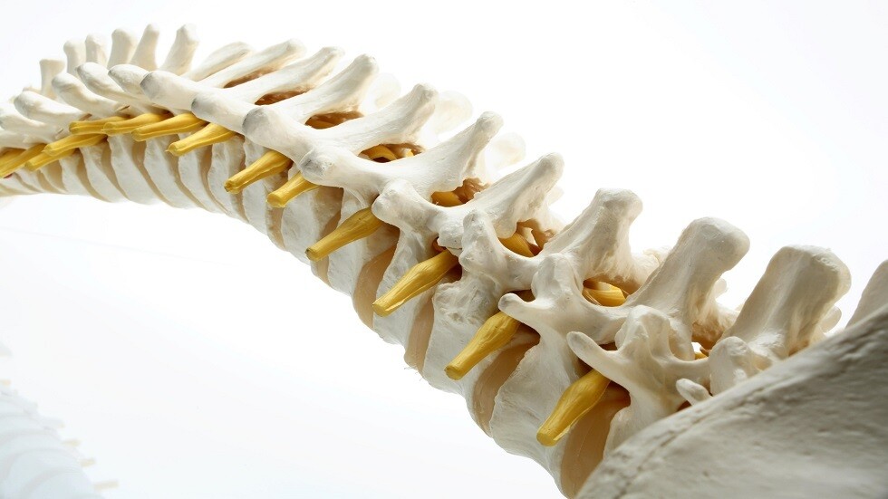 علماء روس يبتكرون غرسات للعمود الفقري القَطَني
