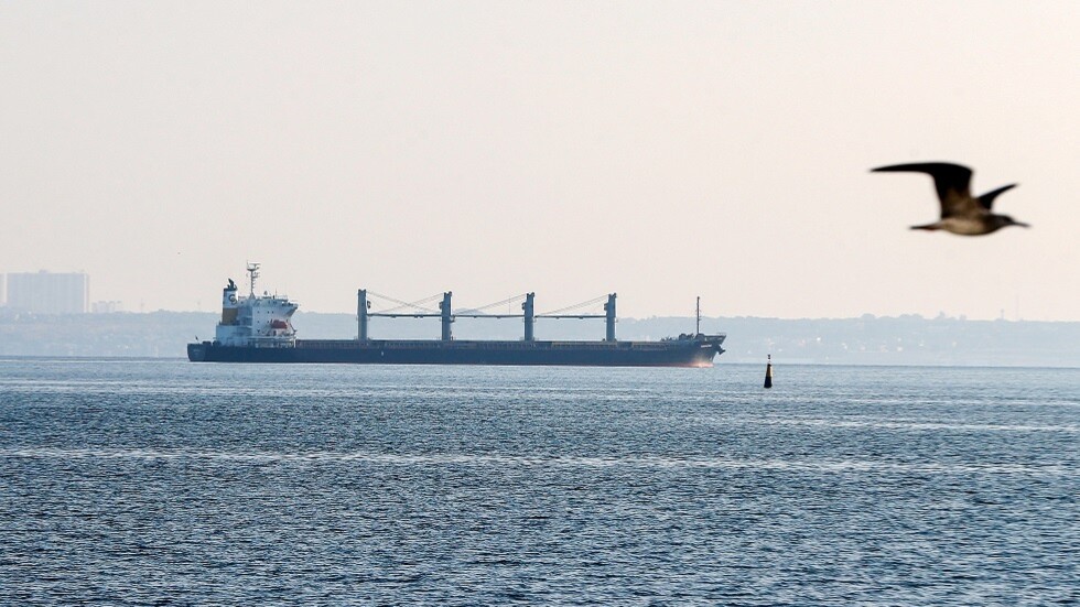 أردوغان: بوتين غير راض عن وصول الحبوب إلى أوروبا عوضا عن دول إفريقيا المحتاجة