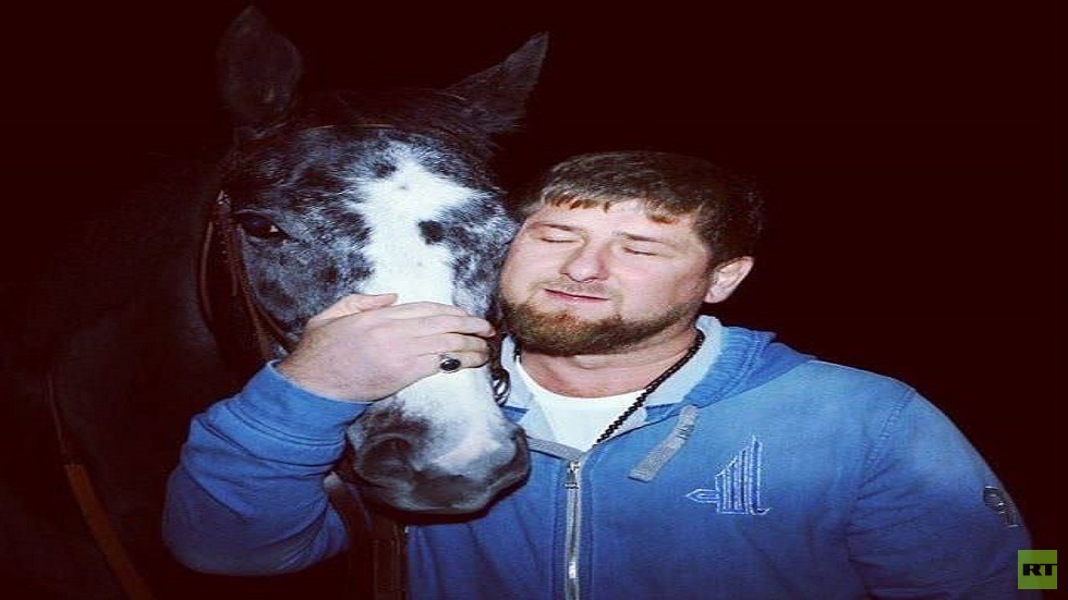 كم دفع قديروف لوكالات الأمن الأوكرانية لاستعادة حصانه المسروق؟