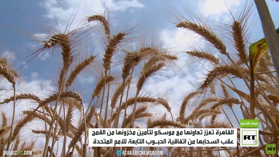 مصر تواصل عقد صفقات مع روسيا لتأمين القمح