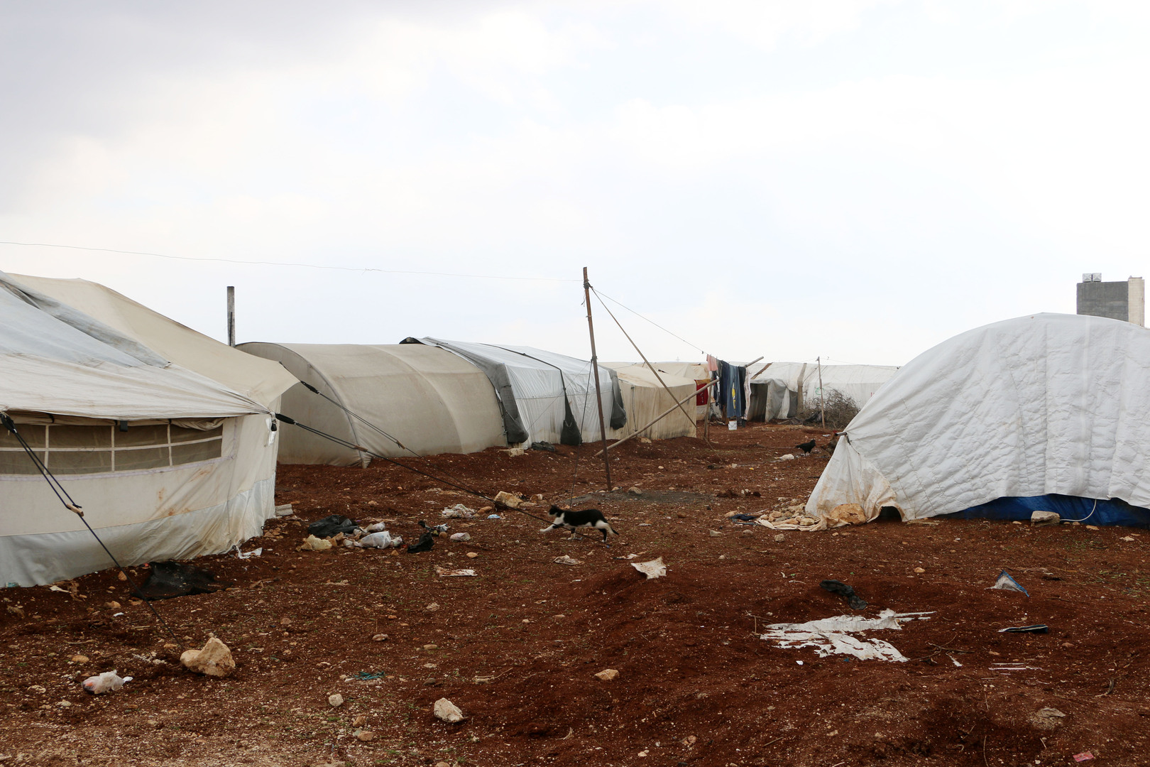 زلازل تركيا يعيد قرابة 60 ألف سوري إلى بلادهم