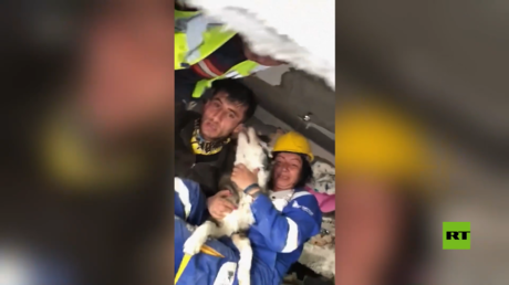 بعد  23 يوما.. انتشال كلب من تحت أنقاض زلزال تركيا
