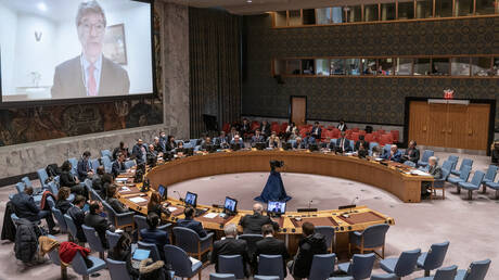 التصويت في مجلس الأمن الدولي على مشروع قرار بشأن 
