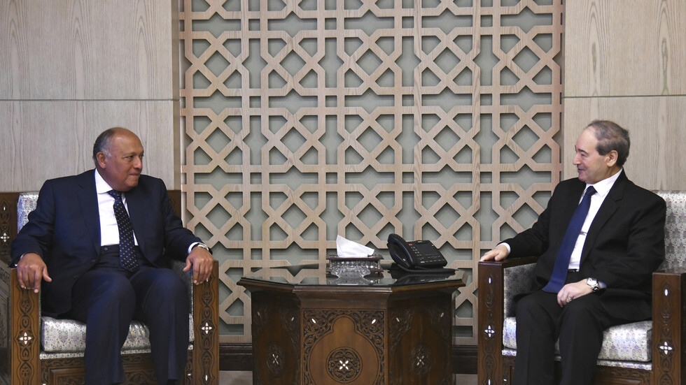 خبير مصري: لقاء وزيري الخارجية المصري والسوري هدفه لم الشمل وحماية الأمن القومي العربي