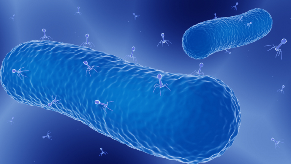 العلماء يكتشفون طريقة خالية من مضادات الحيوية لعلاج العدوى المقاومة للأدوية!