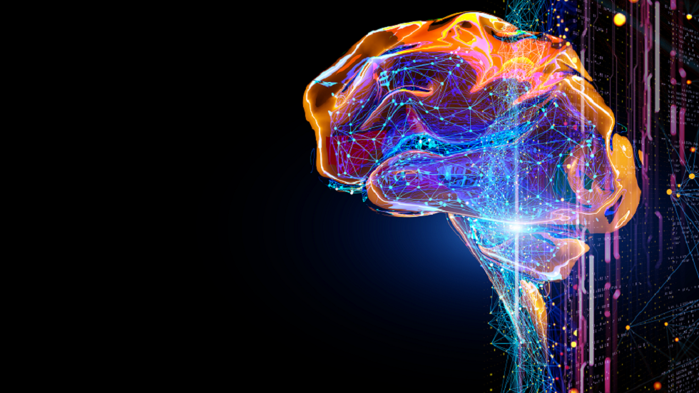 العلماء يحددون 