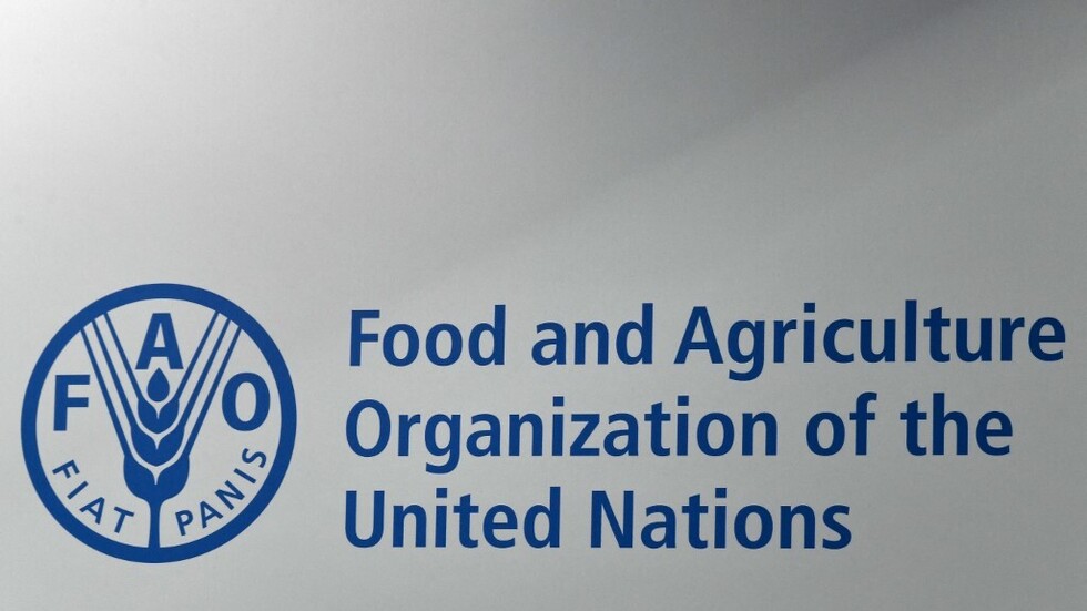 "الفاو" تعلن تراجع أسعار المواد الغذائية 20.5%