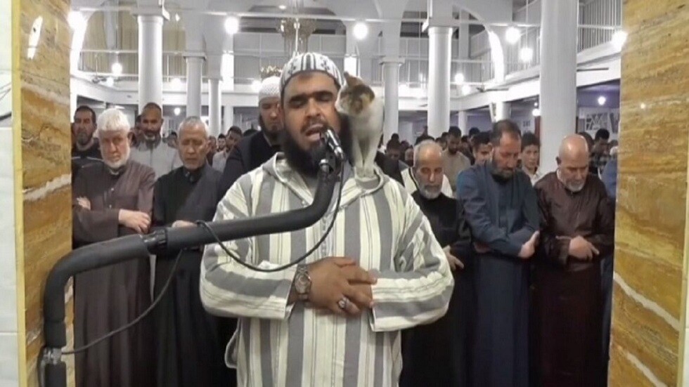 الجزائر.. تكريم إمام المسجد صاحب فيديو القطة الذي حقق أكثر من مليار ونصف مشاهدة