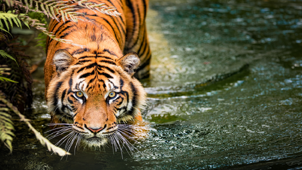 دراسة تكشف عن 