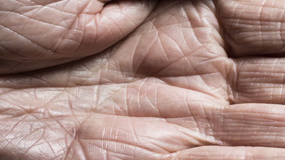 خبراء يكشفون عن جانب سلبي خطير لإطالة العمر!