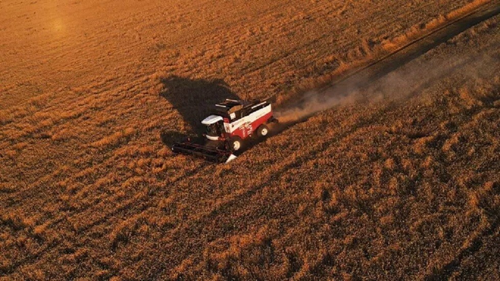 كييف: المفاوضات مع بولندا بشأن تصدير المنتجات ستبدأ يوم الاثنين