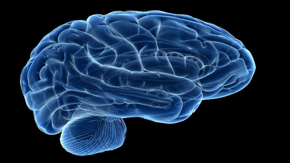 صور دماغية أكثر وضوحا 64 مليون مرة مما تقدمه التكنولوجيا الحالية قد تؤدي لعلاج الخرف!