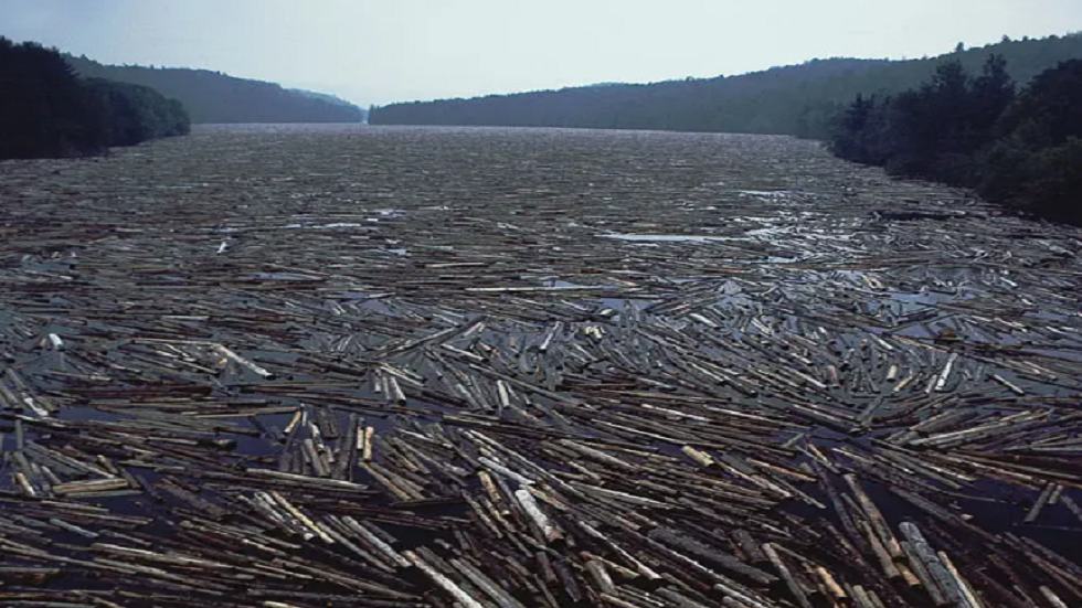دراسة مقلقة حول أكبر "مأزق خشبي تراكمي" في الأرض!