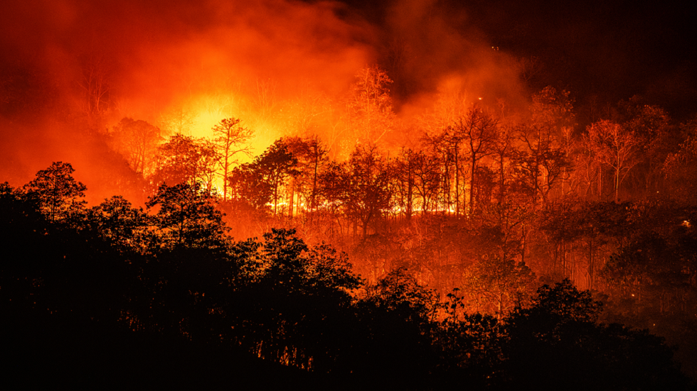 دراسة جديدة تحذر من 