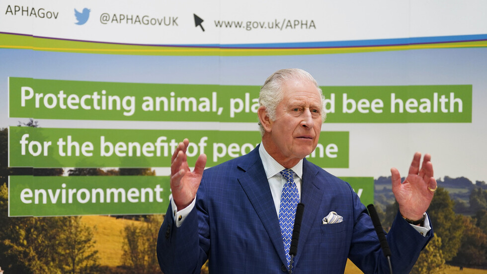 الملك تشارلز يرفض طلبا لمطار هيثرو