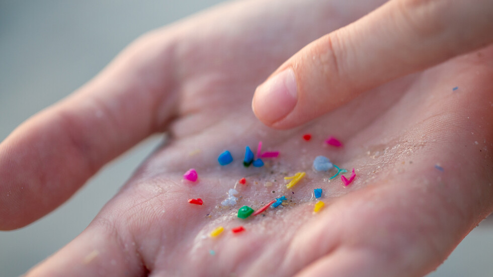 دراسة صادمة تكشف كيف تخترق المواد البلاستيكية الدقيقة الدماغ في غضون ساعتين فقط من ابتلاعها