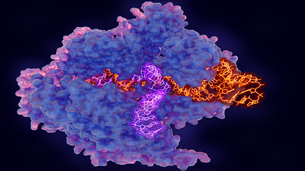 اكتشاف هام حول "أداة شهيرة لتحرير الجينات"!