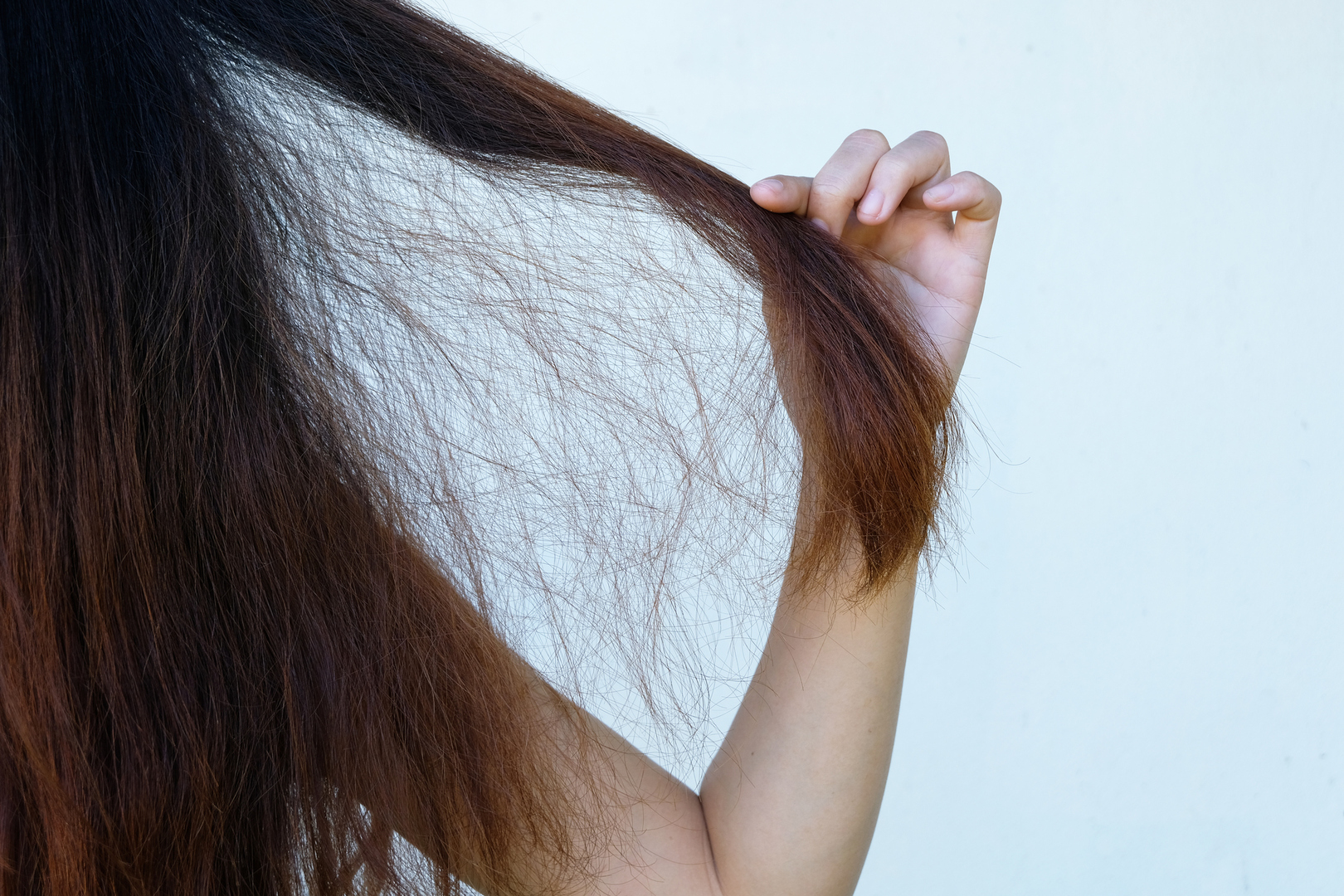 7 معلومات يمكن أن تكشفها حالة شعرك عن صحتك