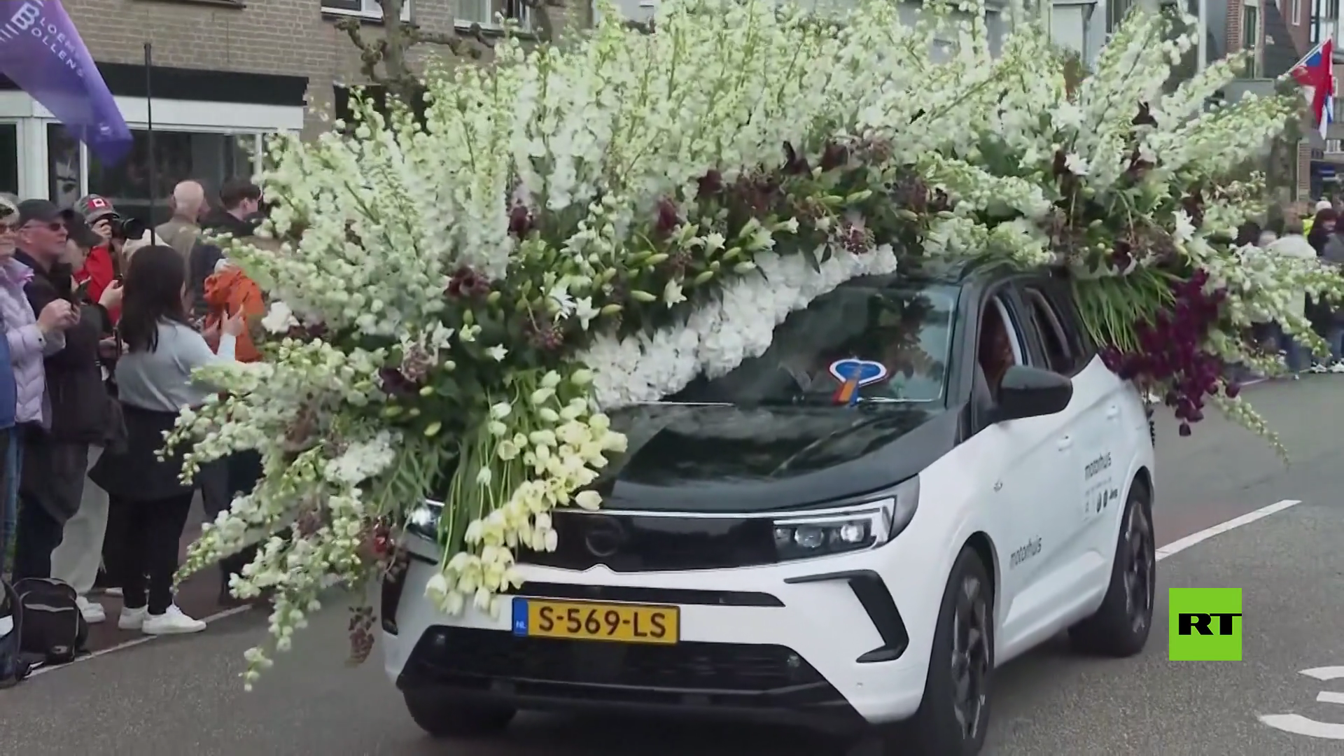بالفيديو.. انطلاق معرض الزهور الهولندي الشهير في نوردفيك