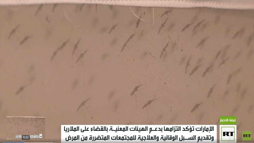 الإمارات.. التزام بدعم الهيئات المعنية بالقضاء على الملاريا