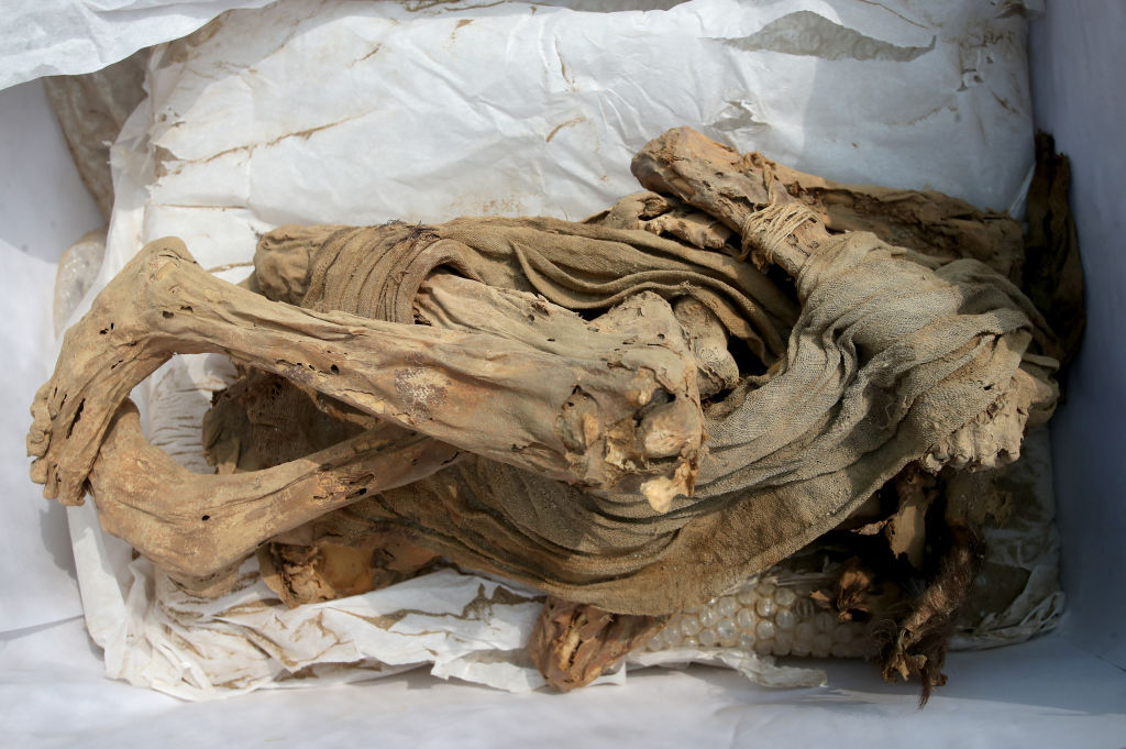 اكتشاف مومياء عمرها نحو 1200 عام تحتفظ بشعرها وجلدها وأسنانها