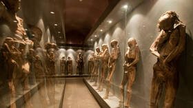 “Mummy’s curse” on well-preserved corpse.. “mushroom growth” threatens Mexico museum visitors at risk of spreading