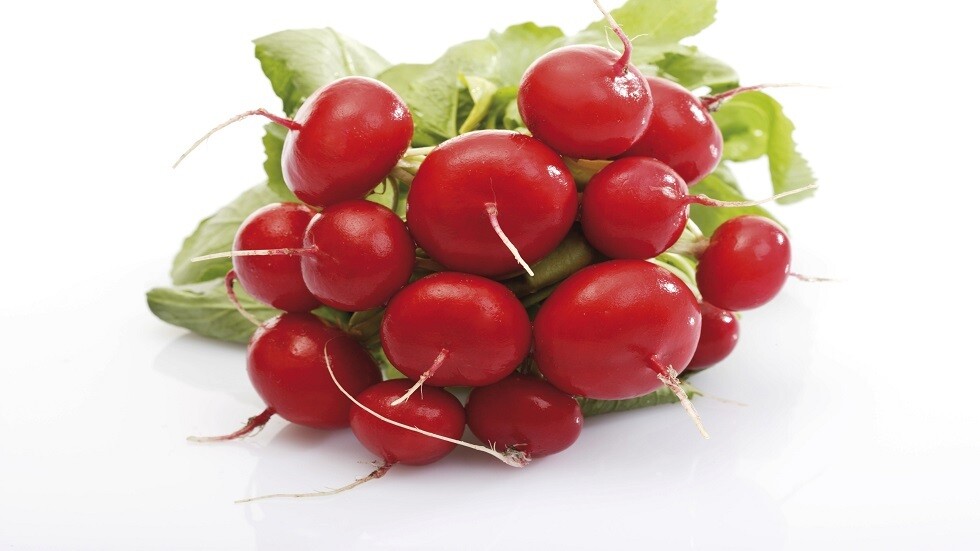 من هو المحرم عليه أكل الفجل؟