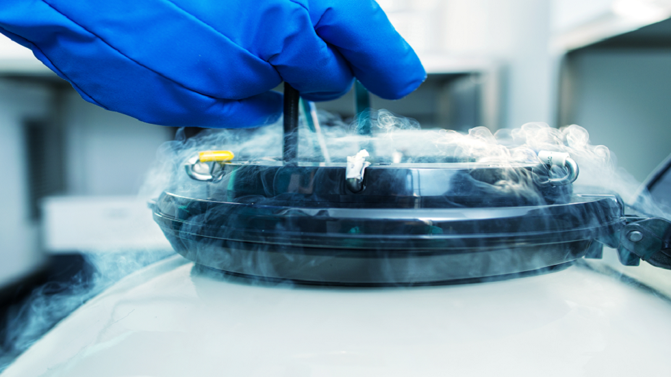 طبيبة خصوبة تكشف ما ينبغي على كل امرأة التفكير فيه قبل تجميد بويضاتها!